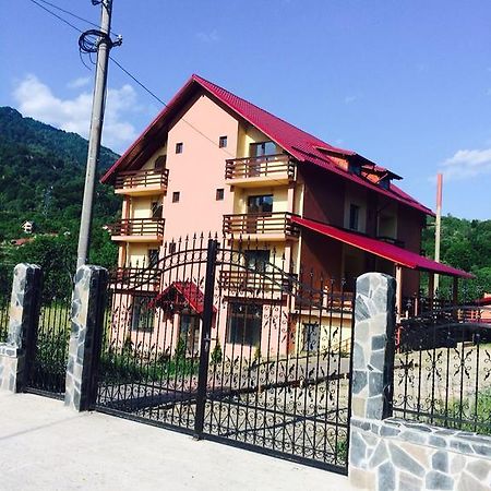 Pensiunea Cheile Argesului Capatineni-Paminteni Exteriér fotografie